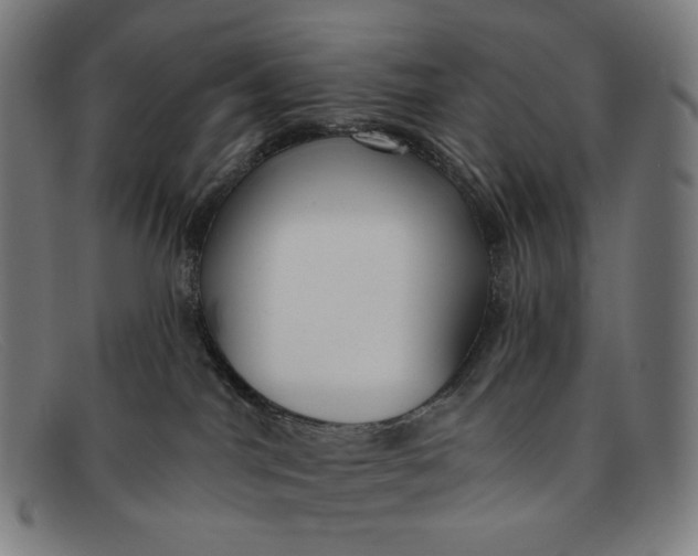 X0000091290044200708311326