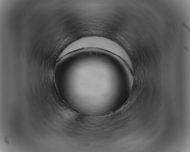 X0000091290045200708311326