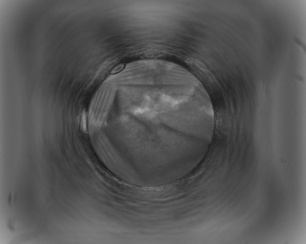 X0000091290046200708311326