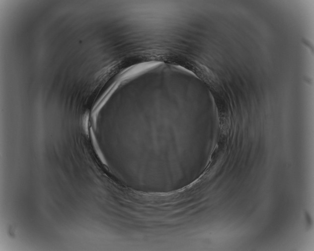 X0000091290047200708311326