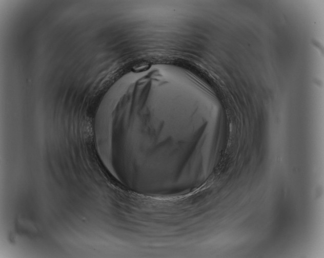 X0000091290048200708311326