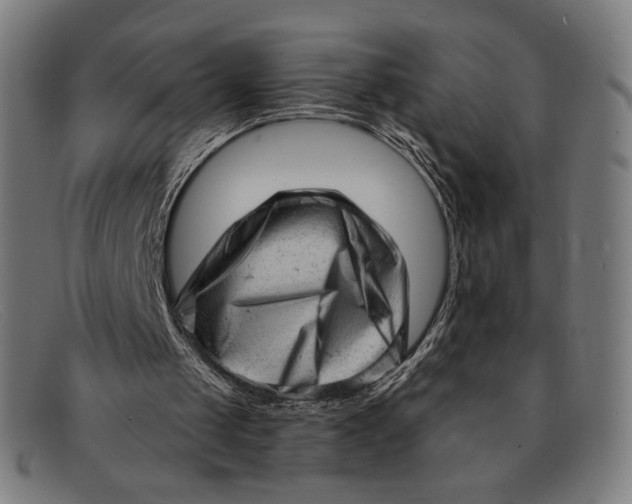 X0000091290049200708311325