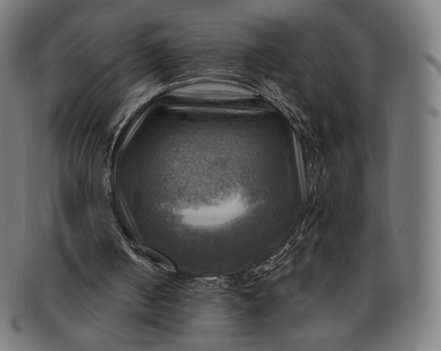 X0000091290050200708311325