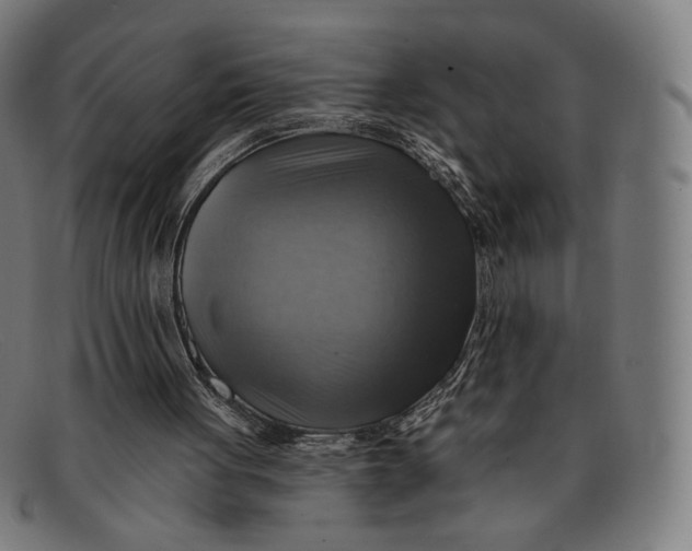 X0000091290051200708311325