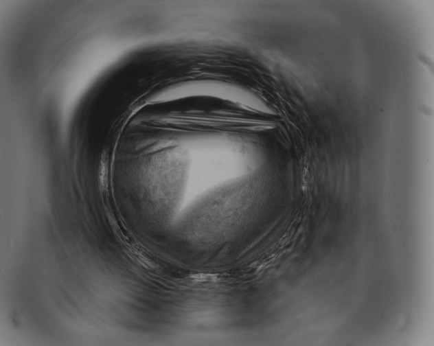 X0000091290052200708311325