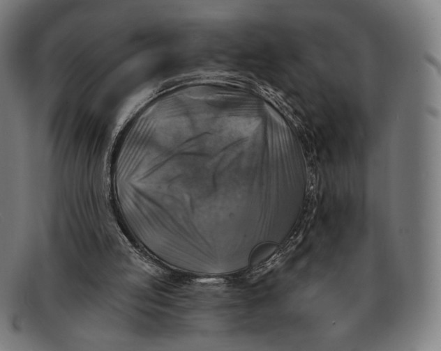 X0000091290053200708311325