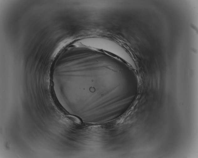 X0000091290054200708311325