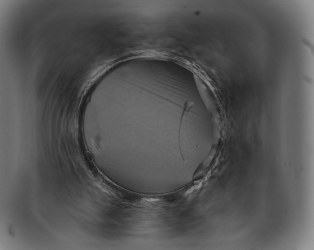 X0000091290055200708311325