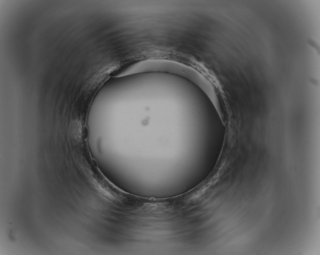 X0000091290057200708311325