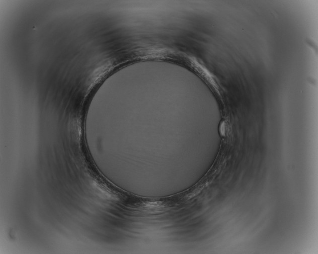 X0000091290059200708311325