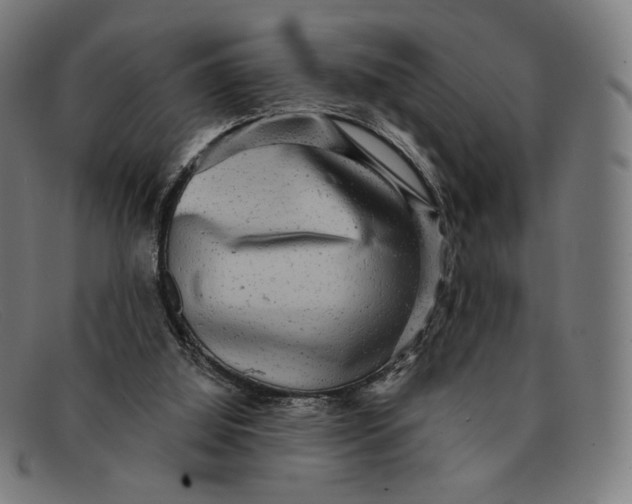 X0000091290060200708311325