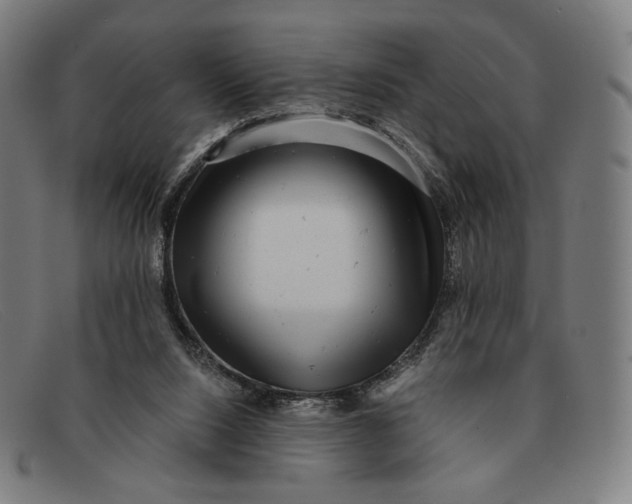 X0000091290064200708311325