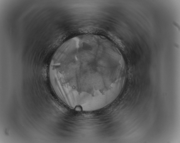 X0000091290065200708311325