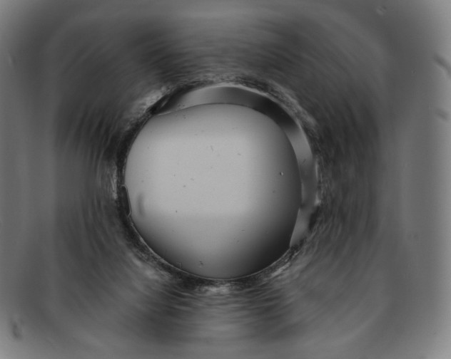 X0000091290068200708311325