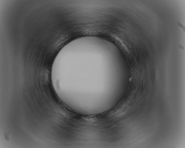 X0000091290071200708311325