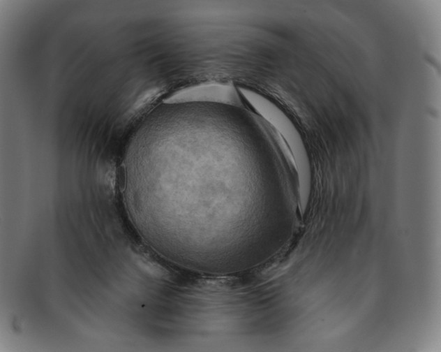 X0000091290072200708311325