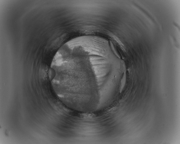 X0000091290073200708311325