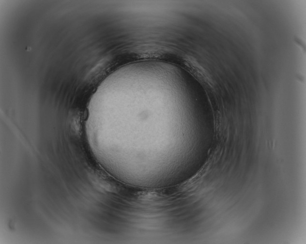 X0000091290074200708311325