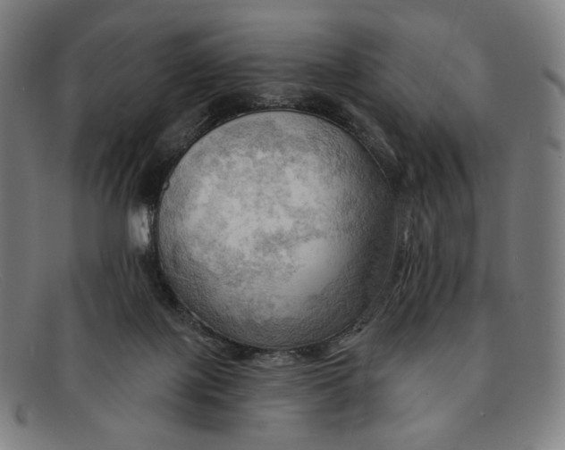 X0000091290075200708311325