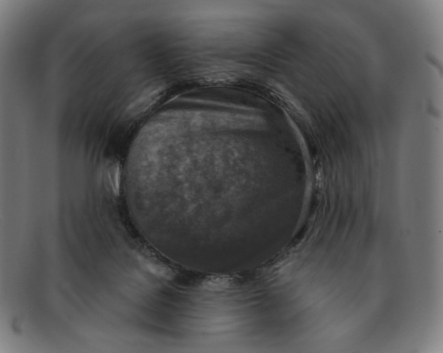 X0000091290076200708311325