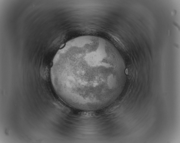 X0000091290077200708311325