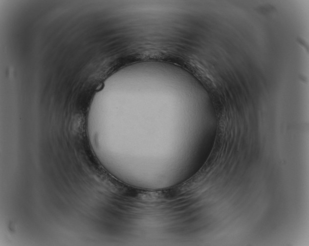 X0000091290079200708311325