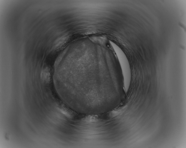 X0000091290080200708311325