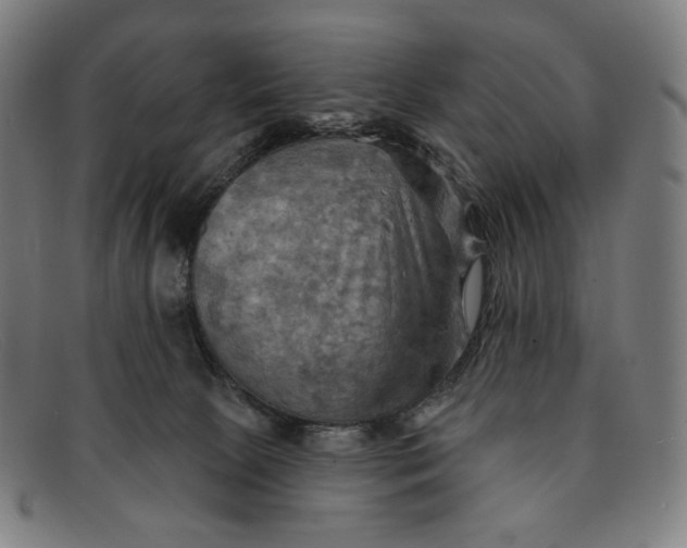 X0000091290081200708311325