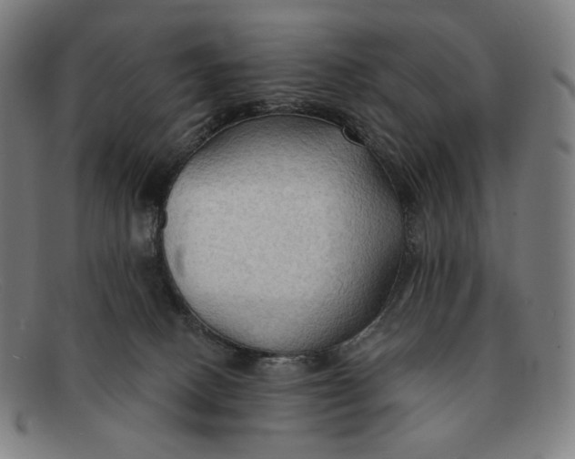 X0000091290082200708311325