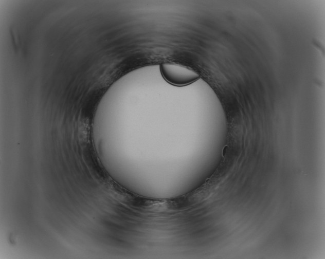 X0000091290083200708311325