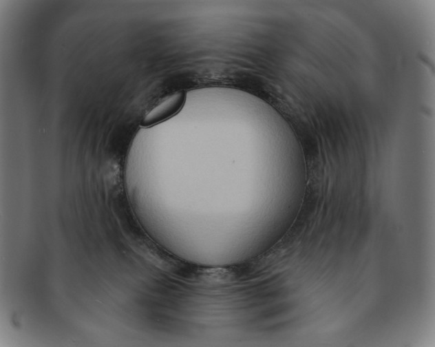 X0000091290087200708311326