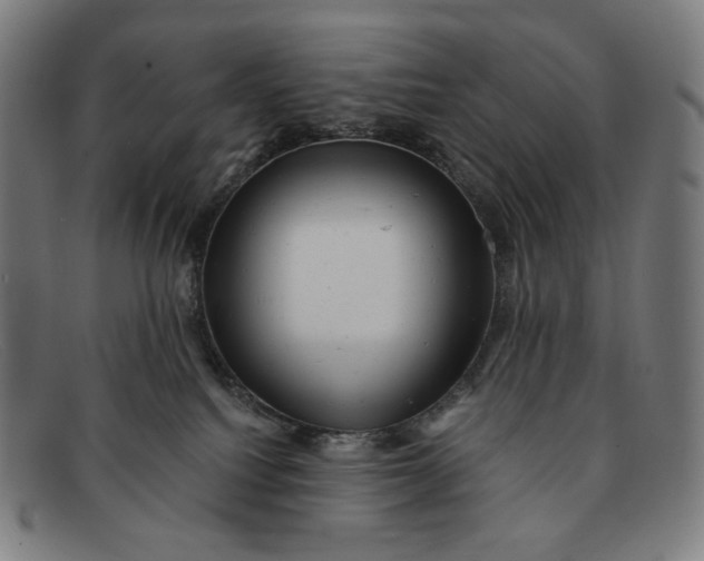 X0000091290088200708311326