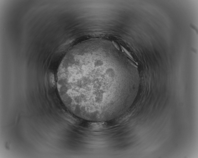 X0000091290089200708311326