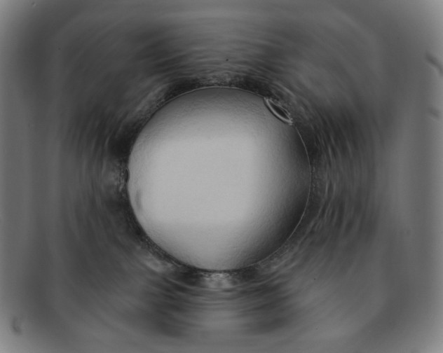 X0000091290091200708311326