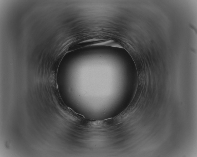 X0000091290092200708311326