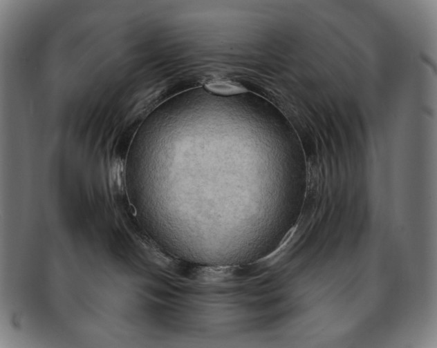 X0000091290094200708311326