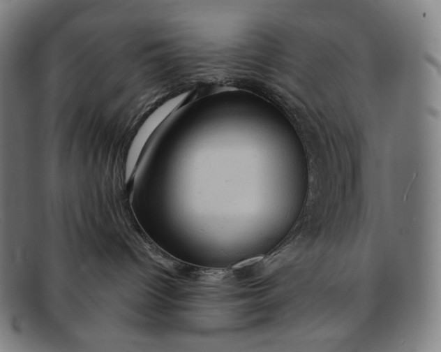 X0000091290096200708311326