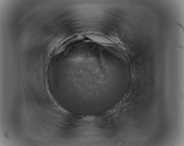 X0000091290097200708311325