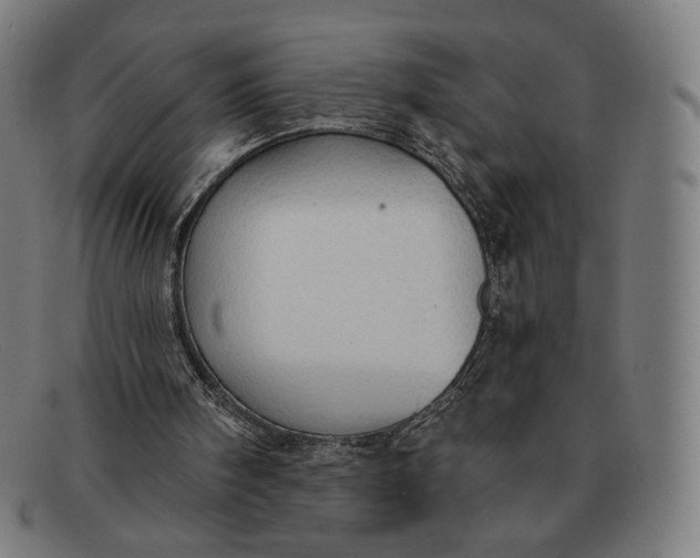 X0000091290098200708311325