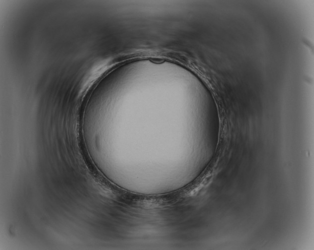 X0000091290103200708311325