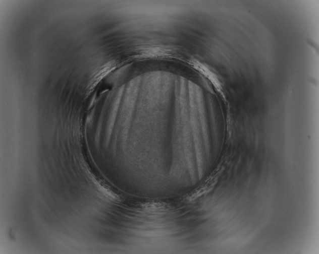 X0000091290105200708311325