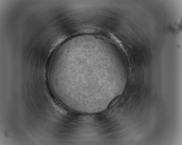 X0000091290106200708311325