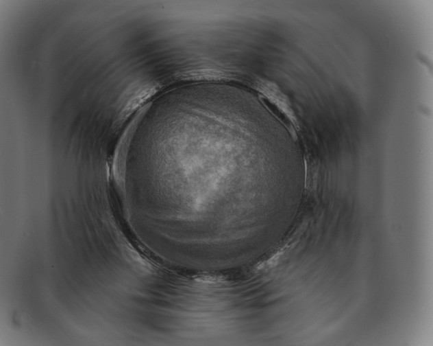 X0000091290109200708311325