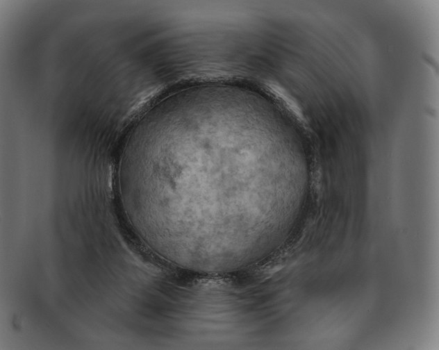 X0000091290115200708311325