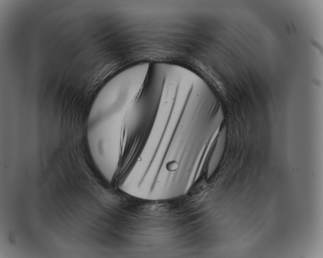 X0000091290117200708311325