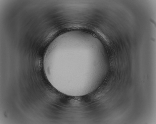 X0000091290119200708311325