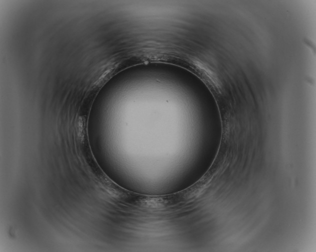 X0000091290121200708311325