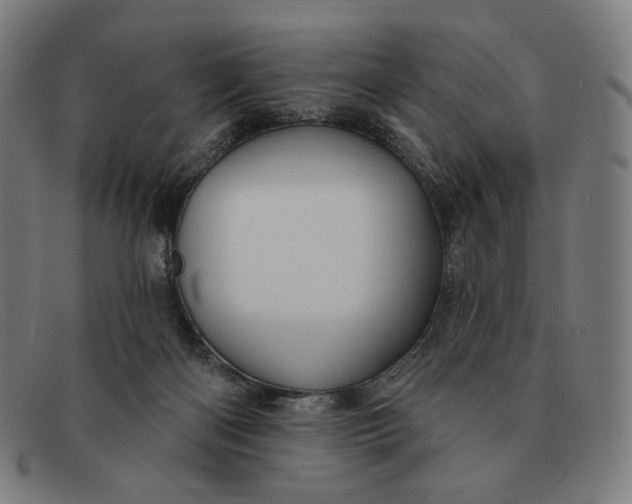 X0000091290122200708311325