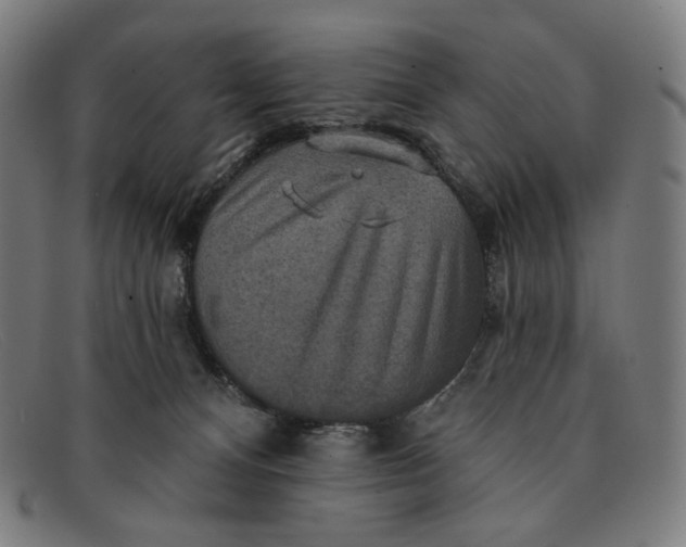 X0000091290128200708311325