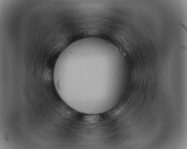 X0000091290135200708311325